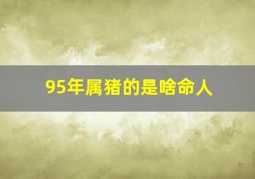 95年属猪的是啥命人