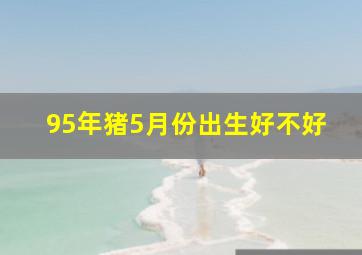 95年猪5月份出生好不好