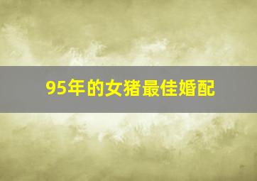 95年的女猪最佳婚配