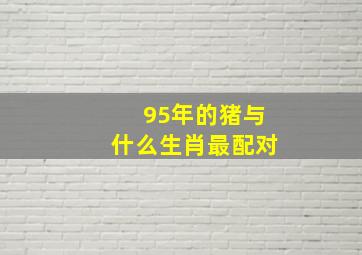 95年的猪与什么生肖最配对