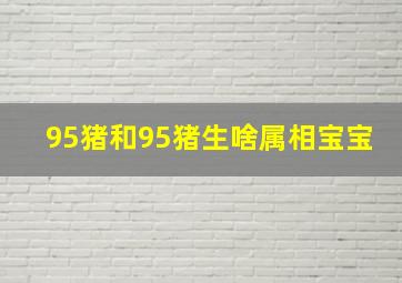 95猪和95猪生啥属相宝宝