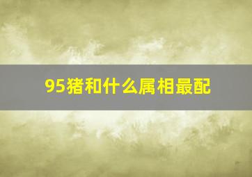 95猪和什么属相最配