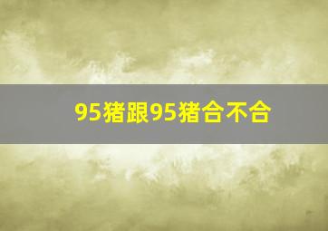 95猪跟95猪合不合