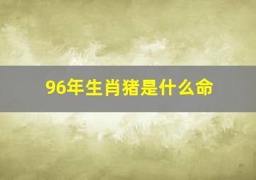 96年生肖猪是什么命