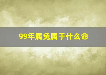 99年属兔属于什么命