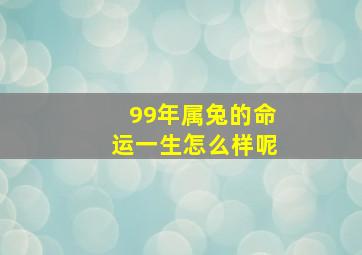 99年属兔的命运一生怎么样呢