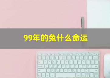 99年的兔什么命运