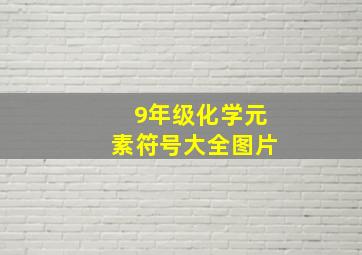 9年级化学元素符号大全图片