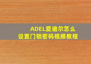 ADEL爱迪尔怎么设置门锁密码视频教程