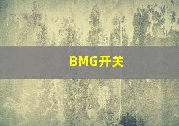 BMG开关