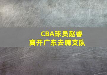 CBA球员赵睿离开广东去哪支队