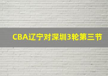 CBA辽宁对深圳3轮第三节