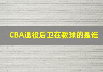 CBA退役后卫在教球的是谁