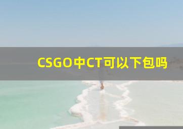 CSGO中CT可以下包吗