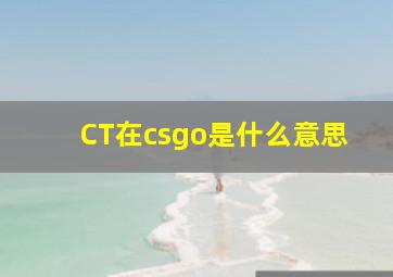 CT在csgo是什么意思