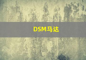 DSM马达