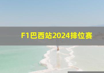 F1巴西站2024排位赛