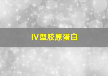 IV型胶原蛋白