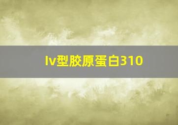 Iv型胶原蛋白310