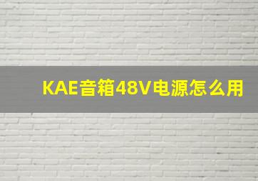 KAE音箱48V电源怎么用