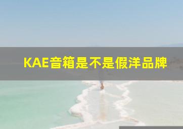 KAE音箱是不是假洋品牌