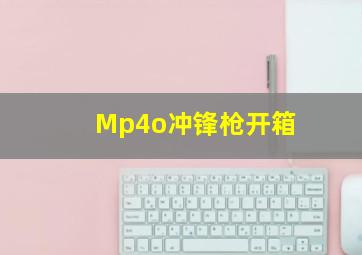 Mp4o冲锋枪开箱