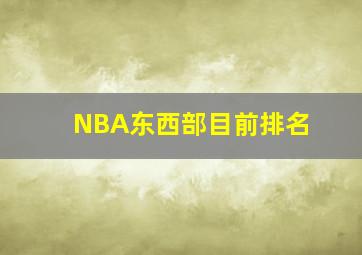 NBA东西部目前排名