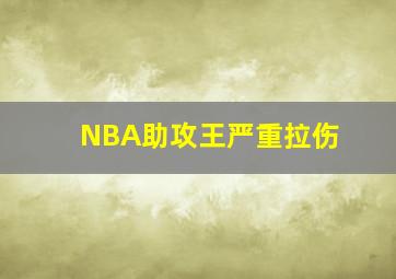 NBA助攻王严重拉伤