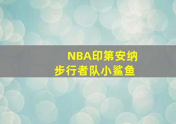 NBA印第安纳步行者队小鲨鱼