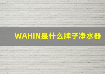 WAHIN是什么牌子净水器