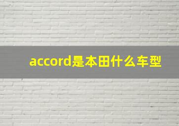 accord是本田什么车型