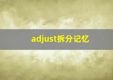 adjust拆分记忆