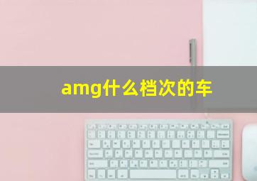 amg什么档次的车