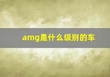 amg是什么级别的车