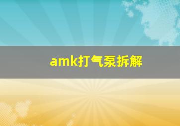 amk打气泵拆解