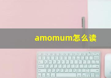 amomum怎么读