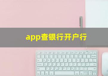 app查银行开户行