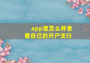 app里怎么样查看自己的开户支行