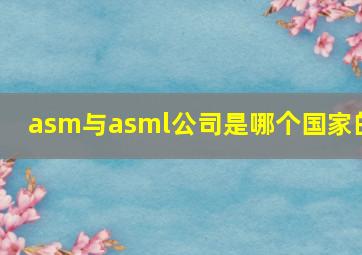 asm与asml公司是哪个国家的