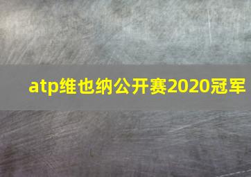 atp维也纳公开赛2020冠军