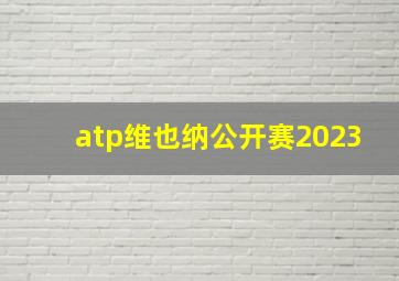 atp维也纳公开赛2023