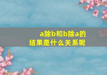 a除b和b除a的结果是什么关系呢