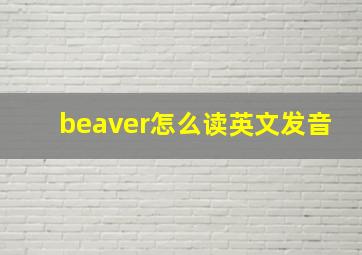 beaver怎么读英文发音