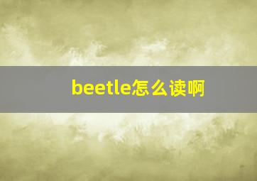 beetle怎么读啊