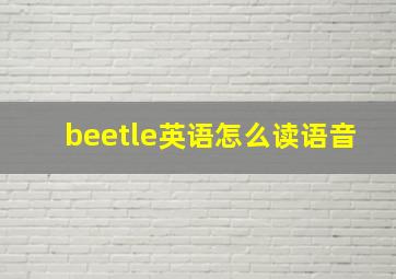 beetle英语怎么读语音