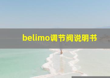 belimo调节阀说明书