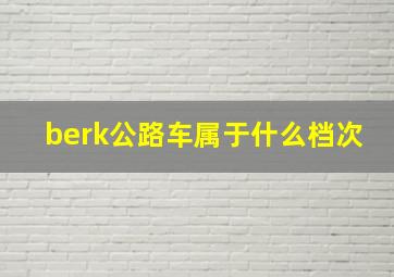 berk公路车属于什么档次