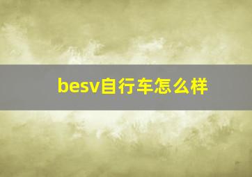 besv自行车怎么样