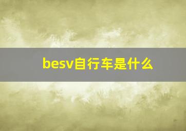 besv自行车是什么