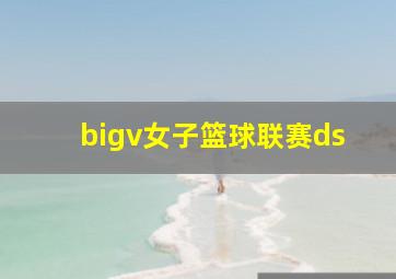 bigv女子篮球联赛ds